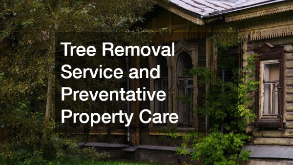 Tree Removal Service and Preventative Property Care