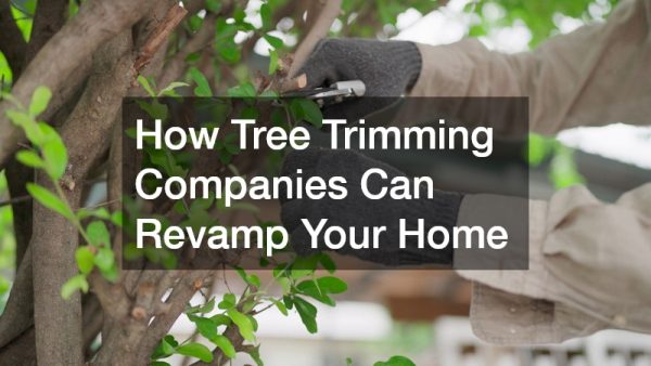 How Tree Trimming Companies Can Revamp Your Home