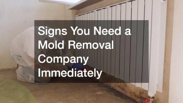 Signs You Need a Mold Removal Company Immediately
